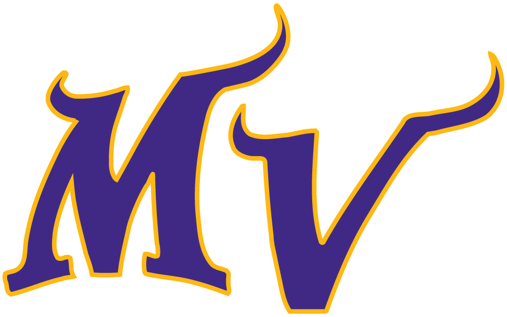 Minnesota Vikings 2004-Pres Alternate Logo t shirts iron on transfers